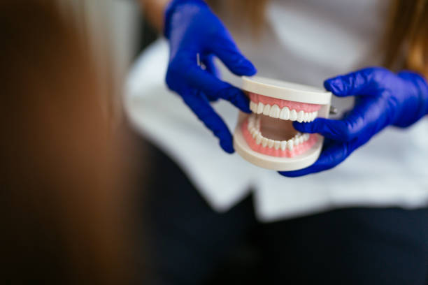 Emmaus, PA Holistic Dental Care Services Company